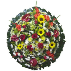Mateus Leme, Juatuba, Vespasiano Coroas de flores em (31) 2565-0627