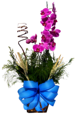 Flores online BH floricultura flora flores presentes cestas de café d amanhã e coroas de flores  em Contagem