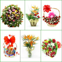 FLORICULTURAS Contagem, cestas de café da manhã e coroas de flores