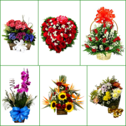 Floricultura entrega flor em contagem floricultura flores Contagem MG